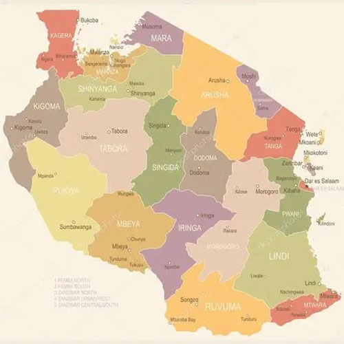 坦桑尼亞海運(yùn)專線