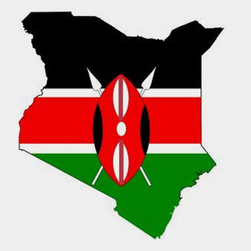 肯尼亞空運(yùn)專線